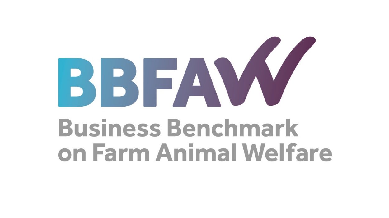 Animal welfare ranking Sustainability at ALDI North