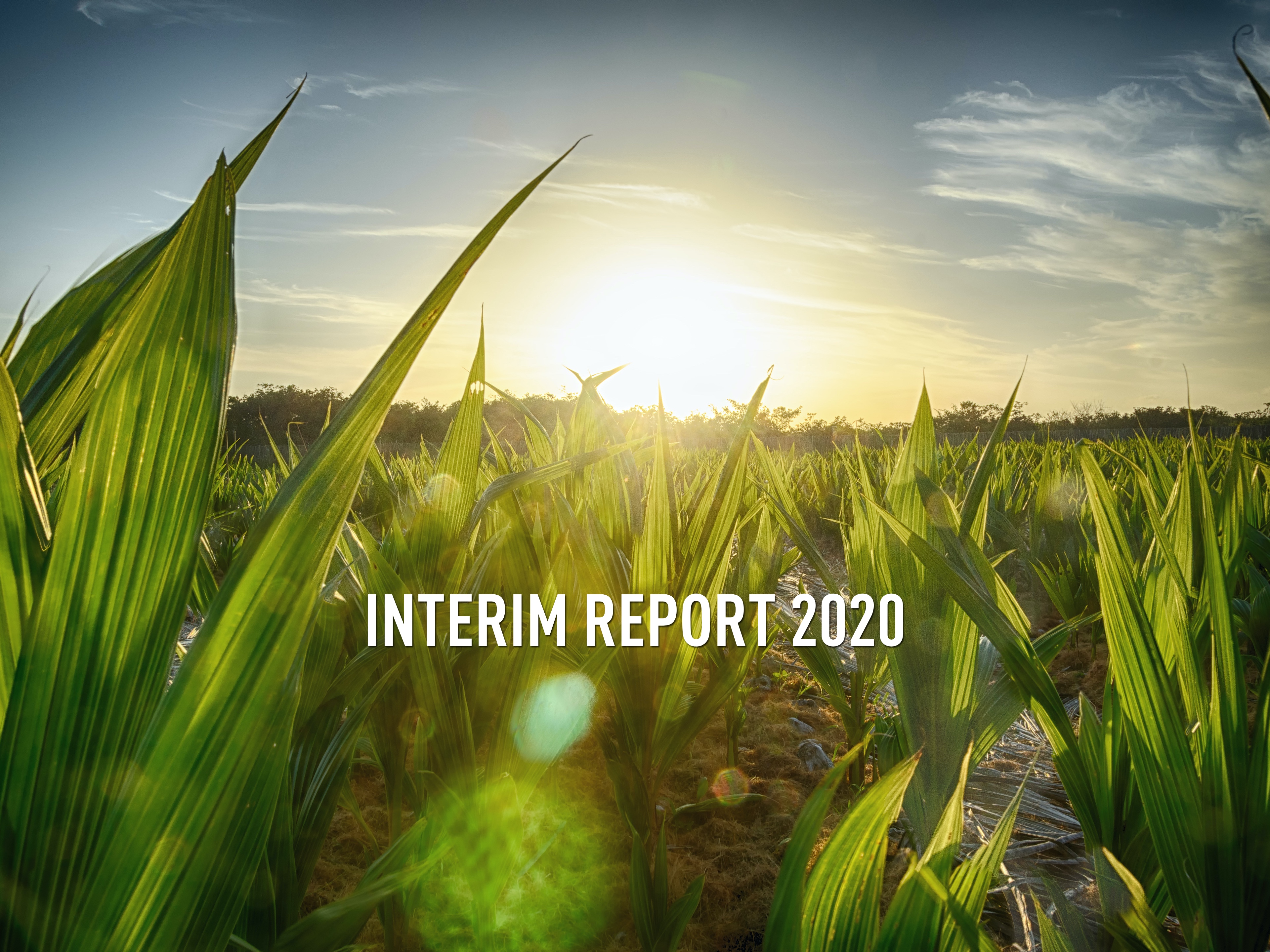 INTERIM REPORT 2020
