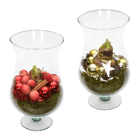 Amaryllis im Glasschwenker