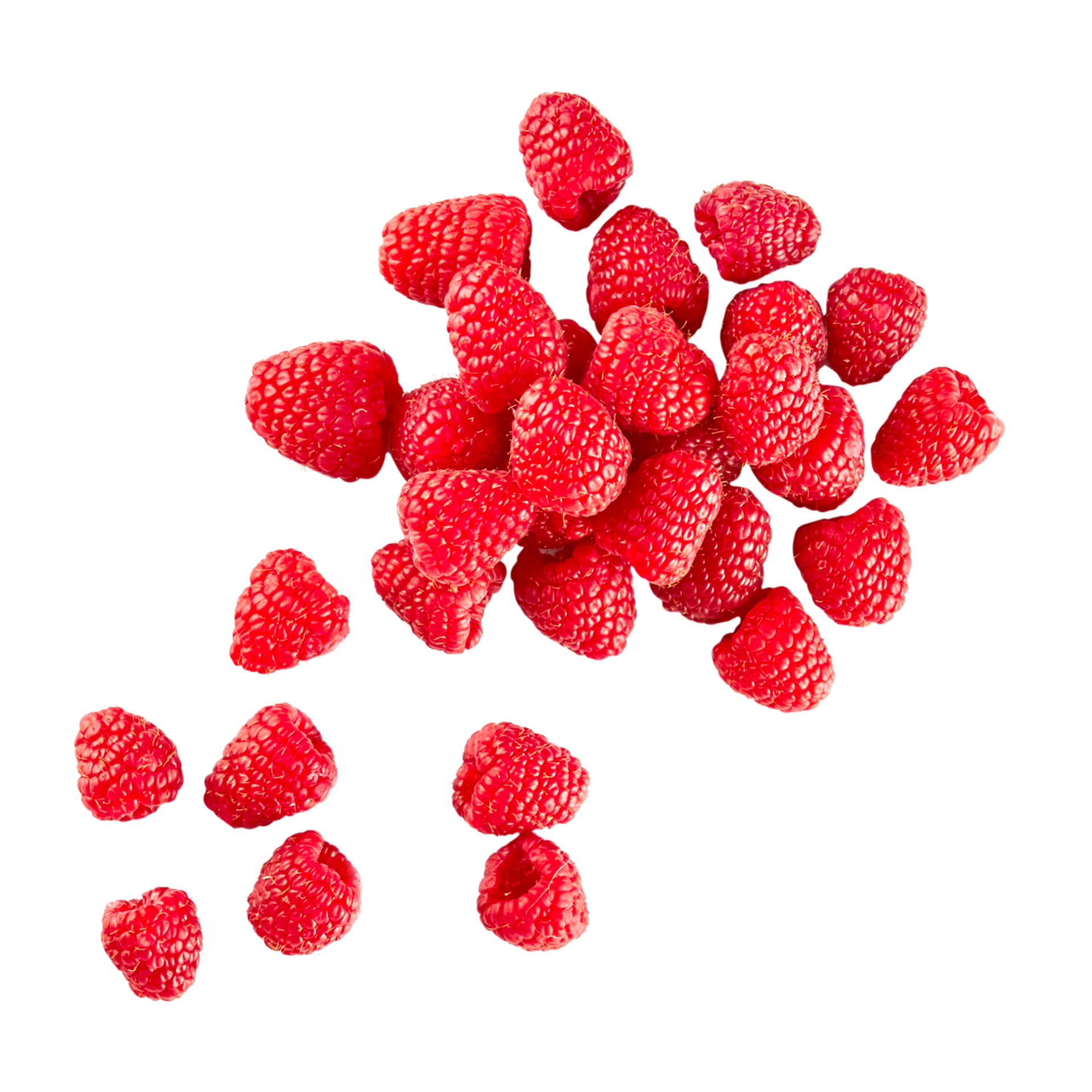 Himbeeren