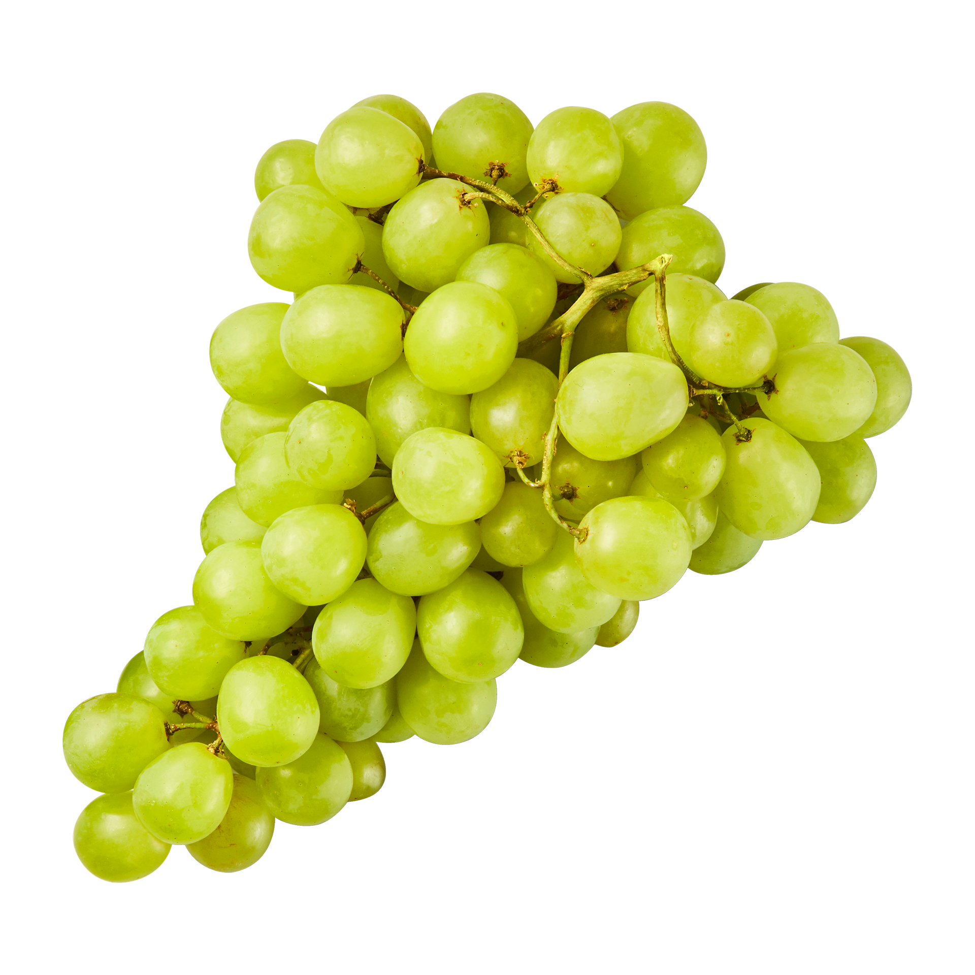  Tafeltrauben hell