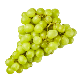 Tafeltrauben hell