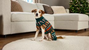 Tier-Weihnachtspullover