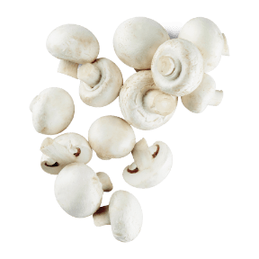 Feine Champignons weiß