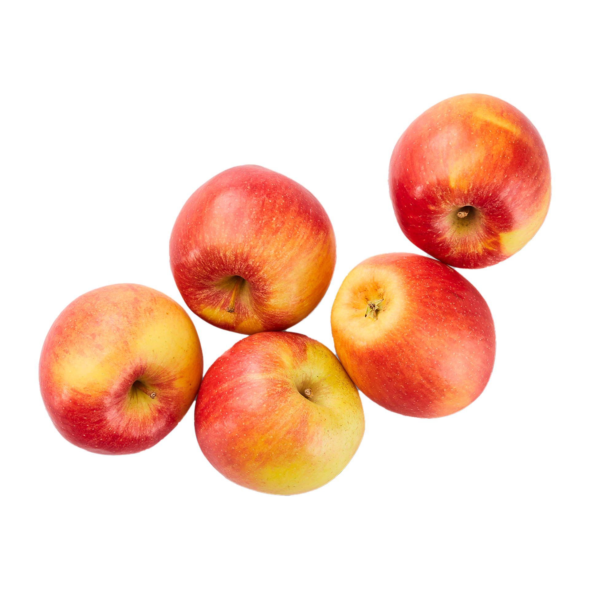  Tafeläpfel Braeburn