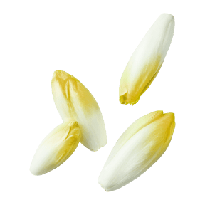 Chicorée