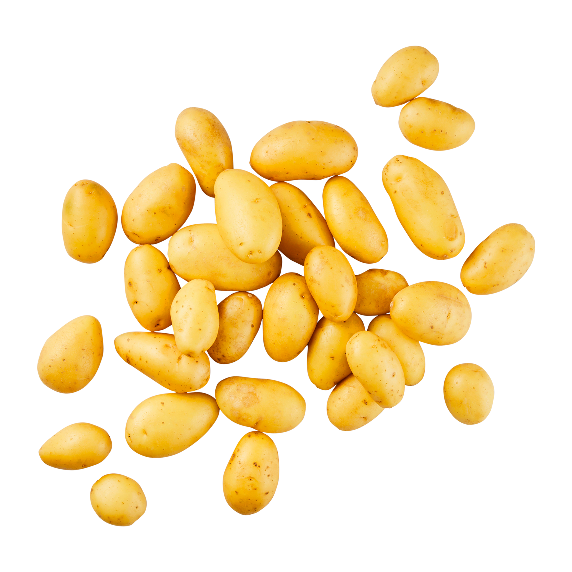  Kleine Speisekartoffeln „Drillinge“