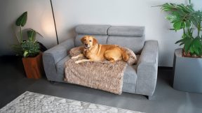 Sofaschutz für Haustiere