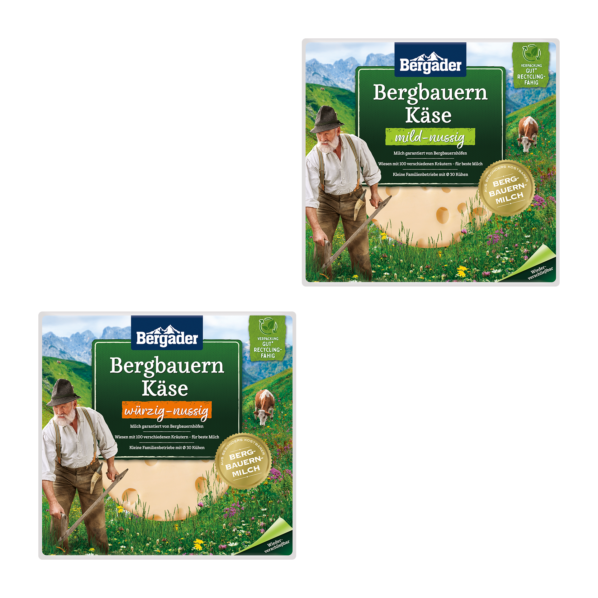 BERGADER Bergbauern-Käse