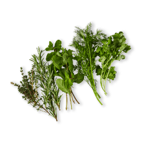 Italienischer Kräuter-Mix