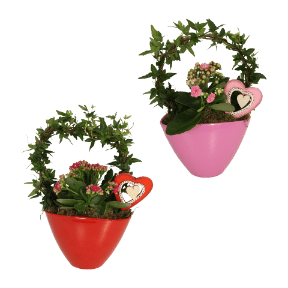 Efeubogen in Keramik