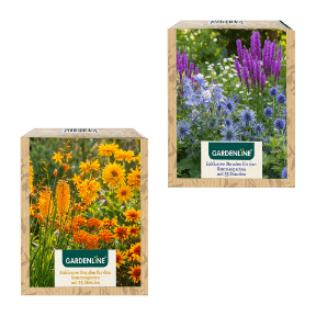 Stauden für den Sommergarten