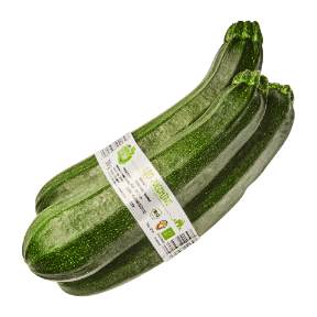 Zucchini